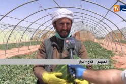 أدرار/ فلاحون يواصلون نشاطهم ويطمئنون المواطنين بوفرة الإنتاج