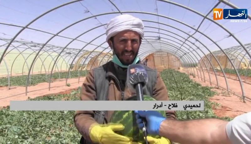 أدرار/ فلاحون يواصلون نشاطهم ويطمئنون المواطنين بوفرة الإنتاج