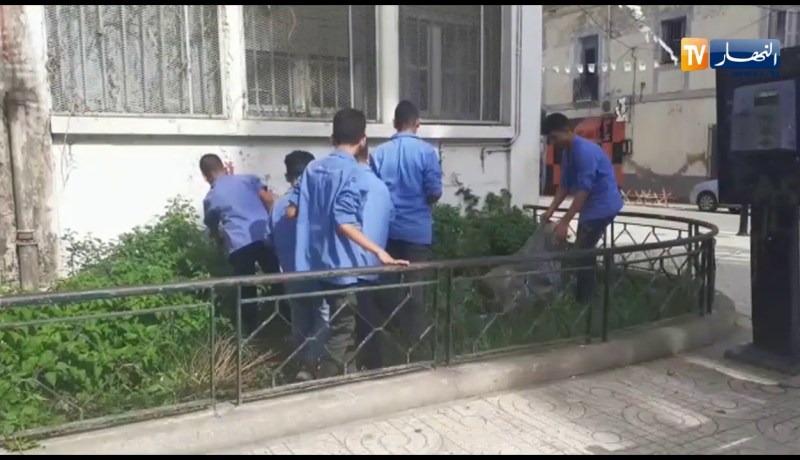 سكيكدة/ تلاميذ من متوسطة “يمونة قموح” يساعدون عامل نظافة في تنظيف محيط مدرستهم