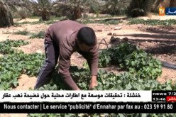 بشار : البلديات الحدودية تفتقر لعجلة التنمية !