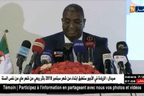 سياحة: بوابة إلكترونية جديدة تروج للسياحة المحلية ..أي فائدة للقطاع؟