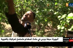 باتنة : إنطلاق موسم جني المشمش وسط مشاكل تؤرق الفلاحين