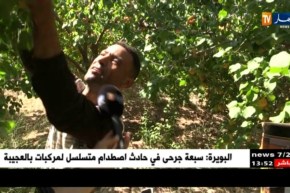 باتنة : إنطلاق موسم جني المشمش وسط مشاكل تؤرق الفلاحين