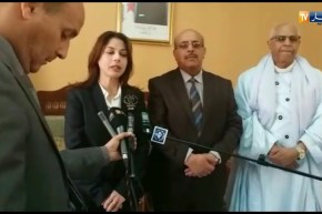 فرعون: مشروع لربط تمنراست وعين قزام بالألياف البصرية