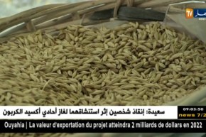 تجارة/ طرح مناقصة لإستيراد 50 ألف طن من القمح سنة 2019