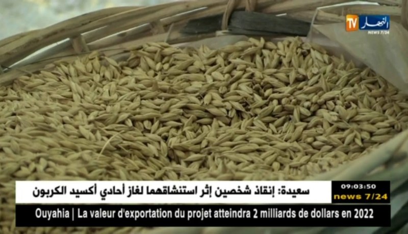 تجارة/ طرح مناقصة لإستيراد 50 ألف طن من القمح سنة 2019