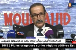 كعوان: يجب تأطير ومرافقة بعض المواقع الإلكترونية
