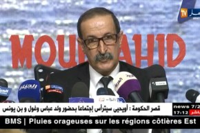 كعوان: يجب تأطير ومرافقة بعض المواقع الإلكترونية