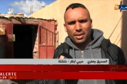 خنشلة: مربو الأبقار يشتكون من غياب ثقافة التأمين