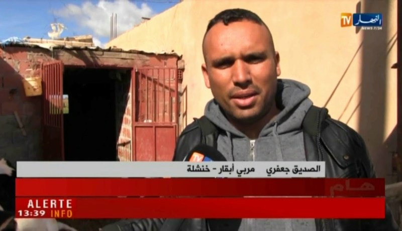 خنشلة: مربو الأبقار يشتكون من غياب ثقافة التأمين