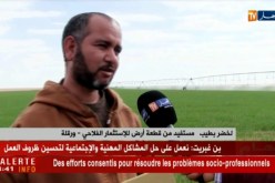 ورقلة: فلاحون يستفدون من أراضي فلاحية مخصصة للإستتمار