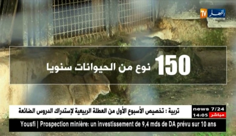 إقالة مديرة حديقة الحيوانات ببن عكنون بعد تحقيق النهار على حالة التسيب والإهمال