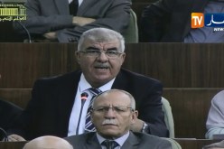 برلمان/ إنطلاق جلسة المصادقة على مشروعي قانوني الإنتخابات والسلطة الوطنية المستقلة للإنتخابات