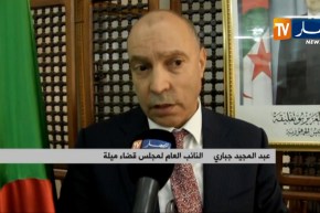 ميلة: الدعوة لتطبيق عقوبة العمل للنفع العام والسوار الإلكتروني كبدائل ضرورية