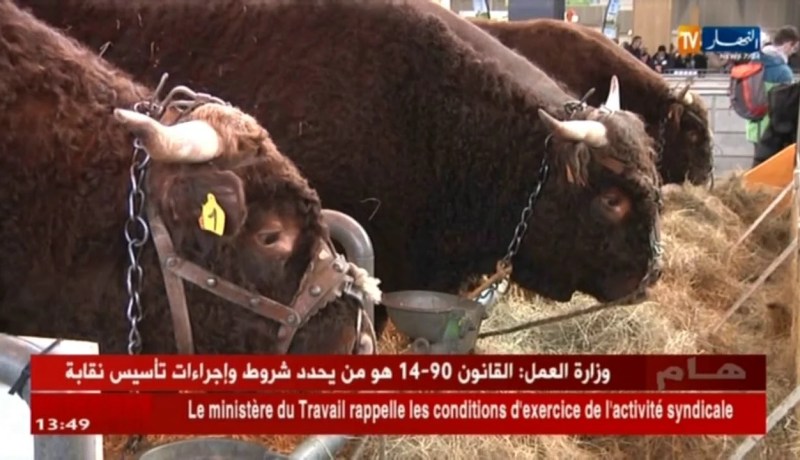 الجزائر تعود بشكل رسمي للمشاركة في الصالون الدولي للزراعة بباريس