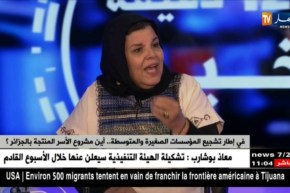 في إطار تشجيع المؤسسات الصغيرة والمتوسطة..أين مشروع الأسر المنتجة بالجزائر؟