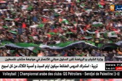 وزارة الشباب والرياضة تقرر الدخول مجاني للأنصار في مواجهة منتخب فلسطين