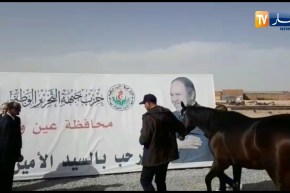 الجلفة..اهداء حصان عربي أصيل لرئيس الجمهورية عبد العزيز بوتفليقة