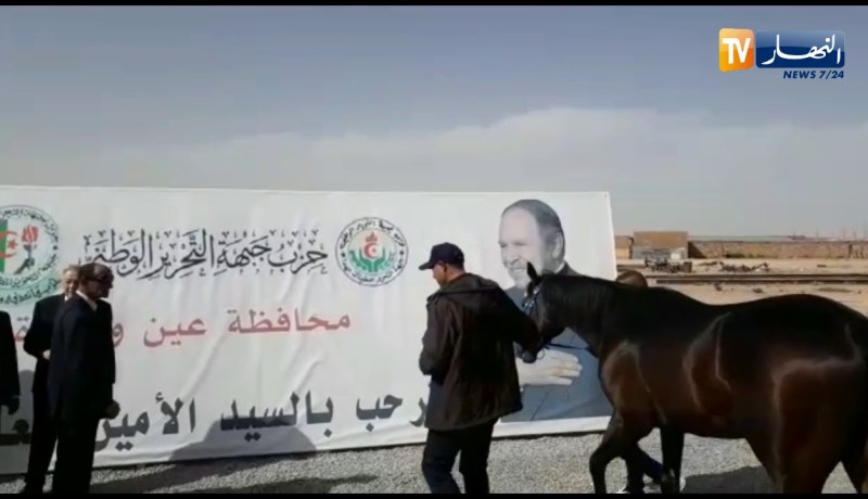 الجلفة..اهداء حصان عربي أصيل لرئيس الجمهورية عبد العزيز بوتفليقة