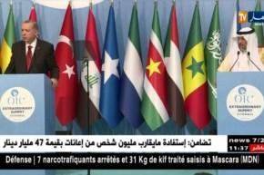 تركيا: منظمة التعاون الإسلامي تدعو إلى تفعيل حماية دولية لفلسطين