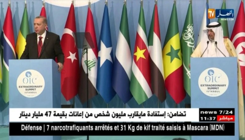 تركيا: منظمة التعاون الإسلامي تدعو إلى تفعيل حماية دولية لفلسطين