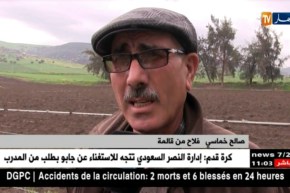 قالمة: الفلاحون يستبشرون خيرا بنزول المطر ويراهنون على إنتاج كبير