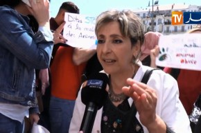 مجتمع: وقفة إحتجاجية لبياطرة  و جمعيات حماية الحيوانات ضد القالوفة