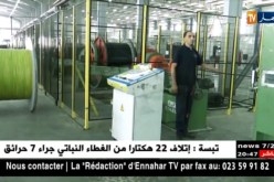 وزير الطاقة يعلن عن تخفيضات في تسعيرة الكهرباء للولايات الجنوبية