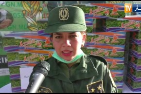 غليزان: مصالح الدرك الوطني تحجز أزيد من 12 ألف وحدة من مادة الشمة