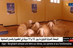 النعامة: مرافق تنموية جاهزة مهملة تتحول إلى إسطبلات بقرية بوقرن