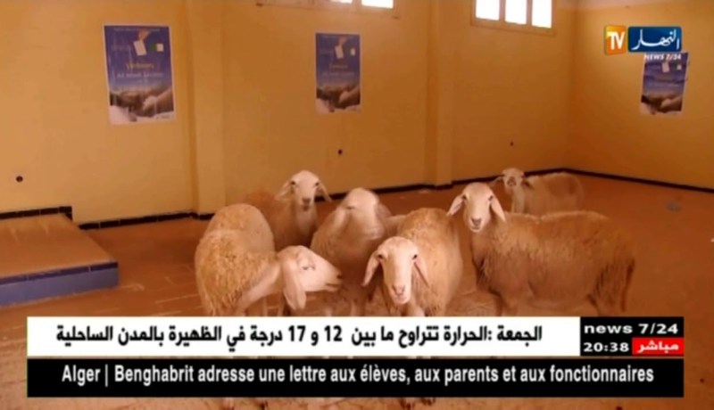 النعامة: مرافق تنموية جاهزة مهملة تتحول إلى إسطبلات بقرية بوقرن