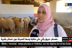 العاصمة: تفاديا للحمى القلاعية.. إجراءات احترازية مكثفة تباشرها مصالح البيطرة