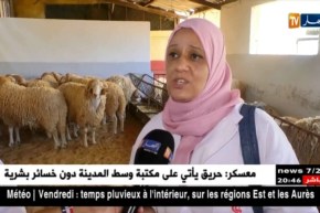 العاصمة: تفاديا للحمى القلاعية.. إجراءات احترازية مكثفة تباشرها مصالح البيطرة