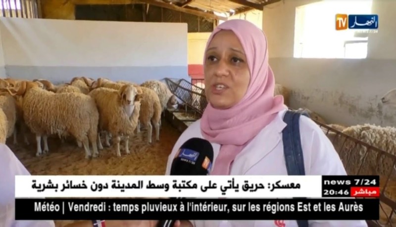 العاصمة: تفاديا للحمى القلاعية.. إجراءات احترازية مكثفة تباشرها مصالح البيطرة