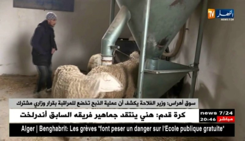 سوق أهراس: وزير الفلاحة يكشف أن عملية الذبح تخضع للمراقبة بقرار وزاري مشترك