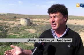 أم البواقي: فلاح يسقي الزيتون بجهده الخاص و حاجز مائي مهمل