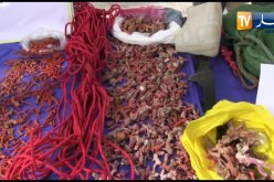 توقيف شخص و حجز قرابة 4 كلغ من المرجان الملكي الأحمر بالشط في الطارف