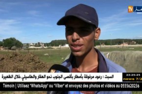 الطارف: تراجع نشاط زراعة الفول السوداني بسبب الأمطار