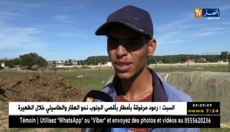 الطارف: تراجع نشاط زراعة الفول السوداني بسبب الأمطار