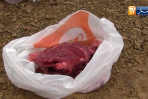 الشيخ النوي: عادات طيبة ببجاية.. ما زال كاين الخير في البلاد