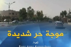 الوادي/ درجات حرارة مرتقبة تفوق 48 درجة مئوية