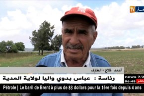 فلاحة: الجزائر تنتج الفستق ..الفول السوداني و الزعفران ..هل هناك متابعة ميدانية؟