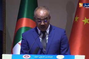 بدوي: إدارات الدولة استفادت من التجربة الصينية من ناحية التكوين