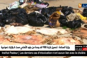 صناعة: جمع أزيد من 900 ألف وحدة من جلود الأضاحي