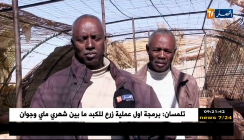 أدرار : تربية المائيات …تجربة ناجحة بمنطقة رقان تنتظر الدعم