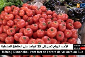 تجارة: أيام فقط بعد حلول رمضان..بورصة أسعار الطماطم والكوسة تلتهب