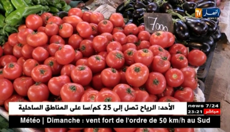تجارة: أيام فقط بعد حلول رمضان..بورصة أسعار الطماطم والكوسة تلتهب