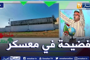 طالع هابط: مواد سامة تفتك بالمساحات الخضراء بالقرب من المنطقة الصناعية في معسكر