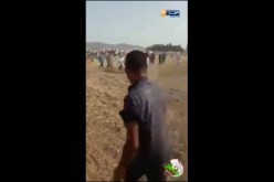 شاهدوا.. كيف دهس حصان والد العريس في ميلة !!