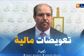 محمد عيسى: شركة “فلاي ناس ” للطيران قدمت تعويضات مالية للبعثة الجزائرية